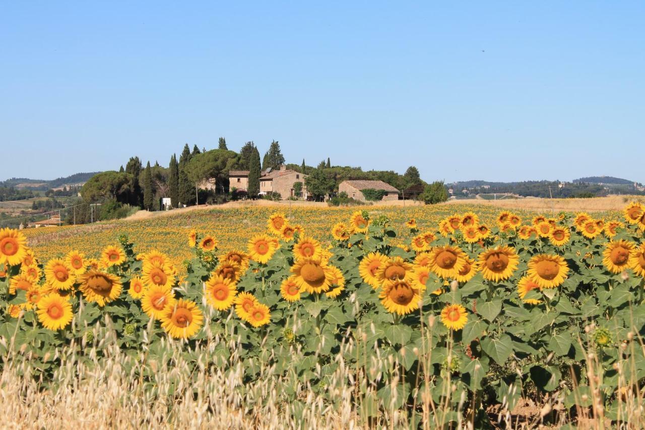 Il Poggio B&B Ginestra Fiorentina Eksteriør billede